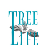 Tree Life Ltd